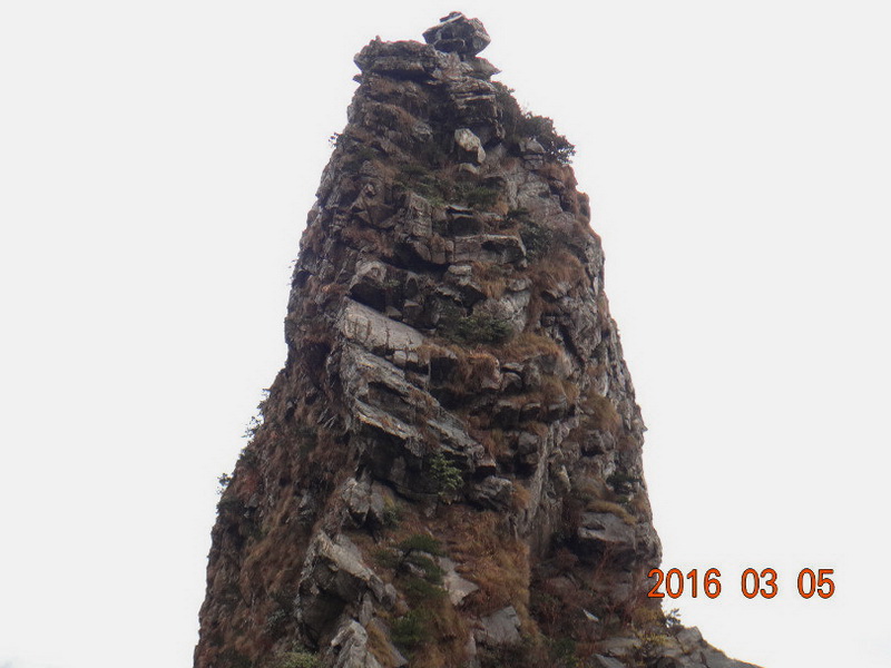 dsc09823.jpg