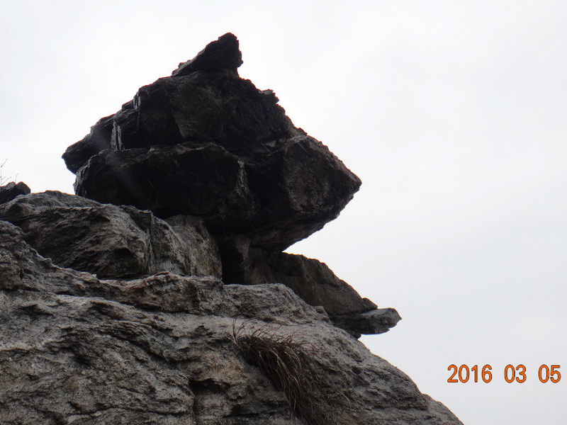 dsc09783.jpg