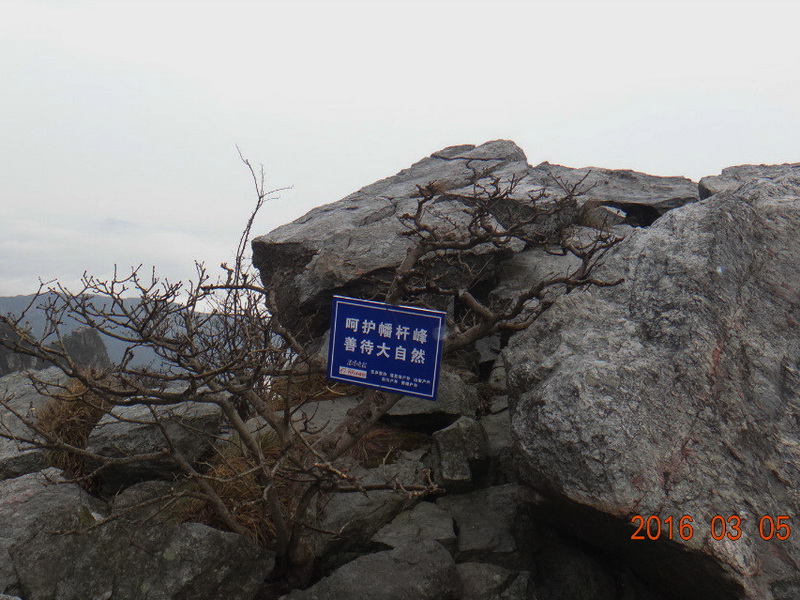dsc09772.jpg