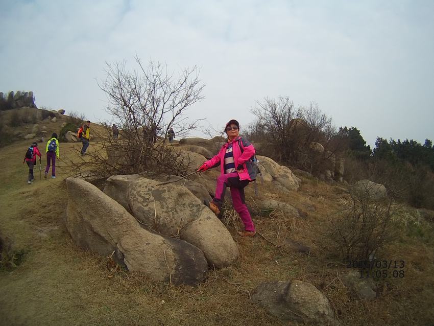 file0017.jpg