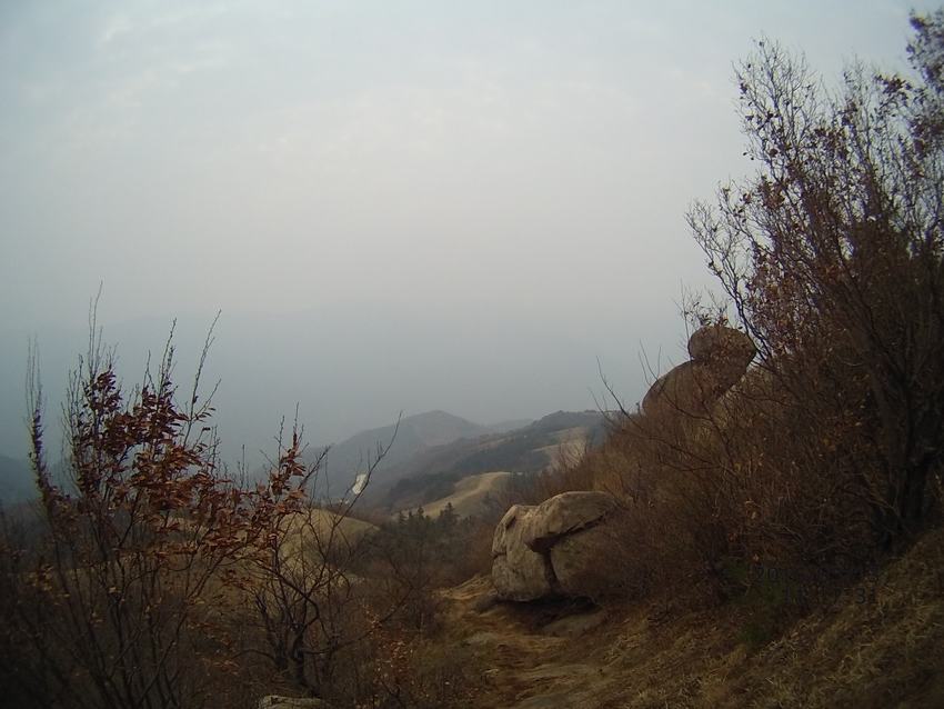 file0022.jpg