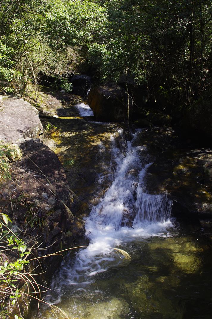 _igp7564.jpg
