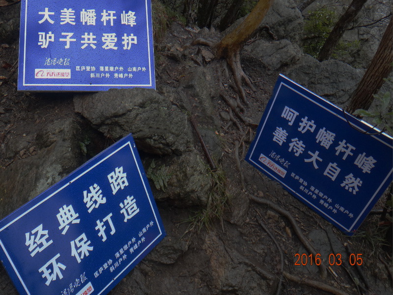 dsc09650.jpg