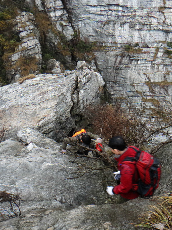 dsc09778.jpg