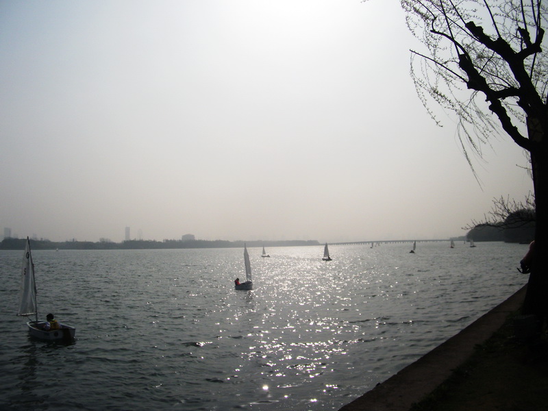 dscf1045.jpg