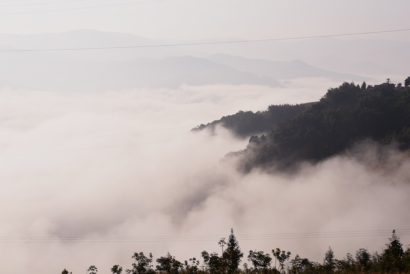 dsc_2885.jpg