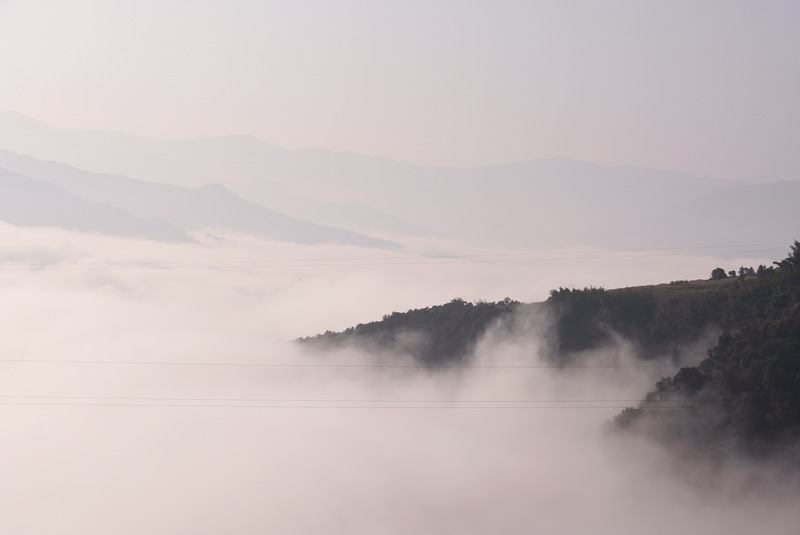 dsc_2887.jpg