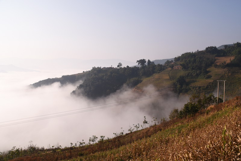 dsc_2894.jpg