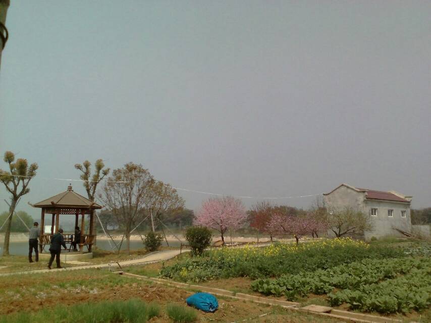 ţɽ泡.jpg