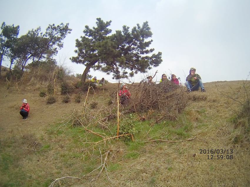 file0044.jpg