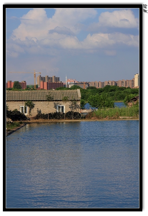 05.jpg
