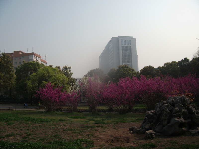 dscf0957.jpg