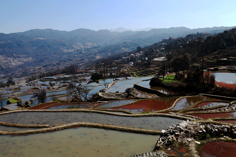 img_3920 (243)_副本.jpg