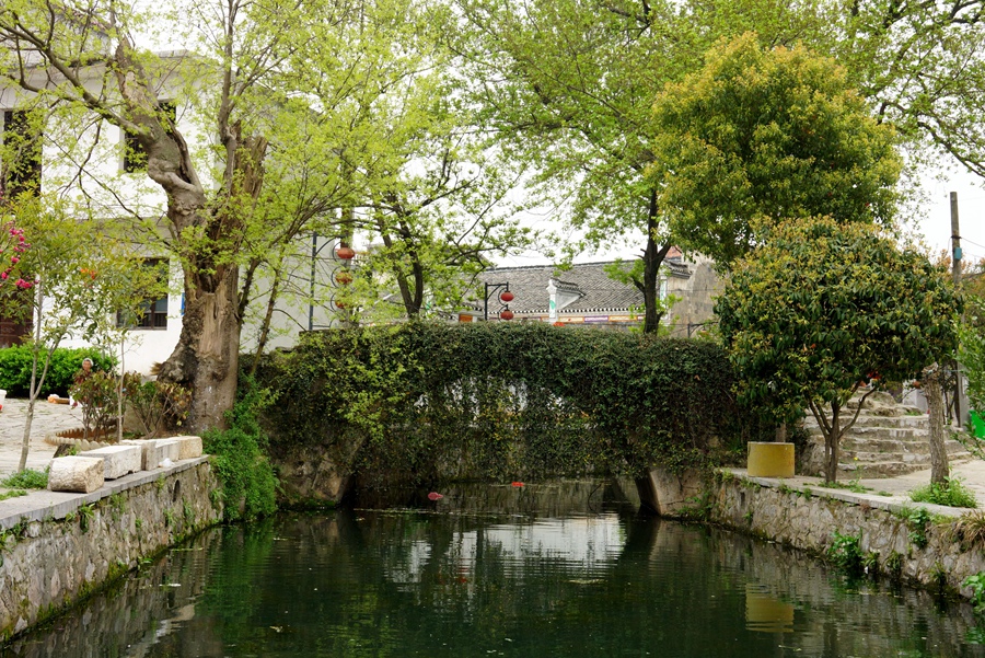 小婺源12.jpg