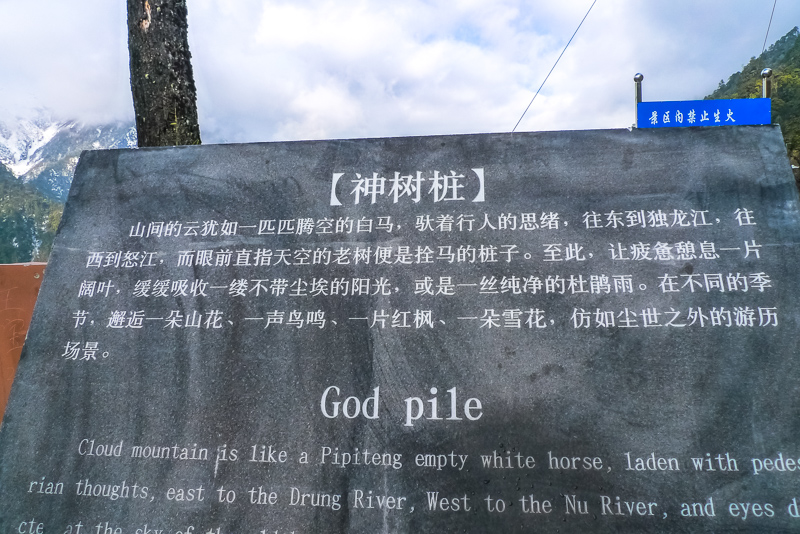2.9-20.jpg
