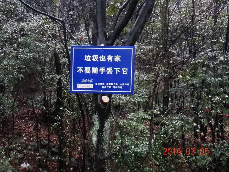 dsc09619.jpg