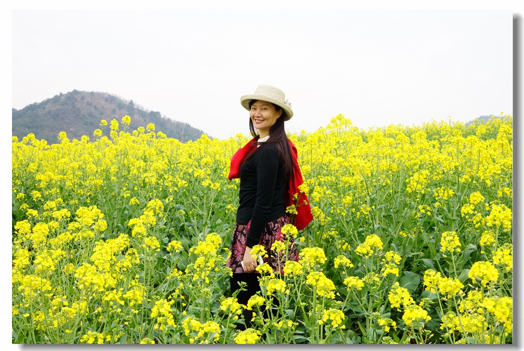 大法寺镇--油菜花开39.jpg