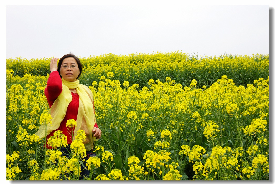 大法寺镇--油菜花开40.jpg