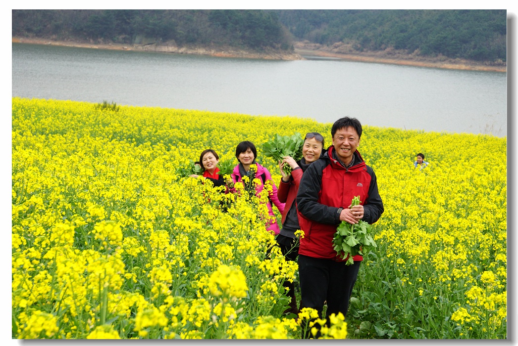大法寺镇--油菜花开54.jpg