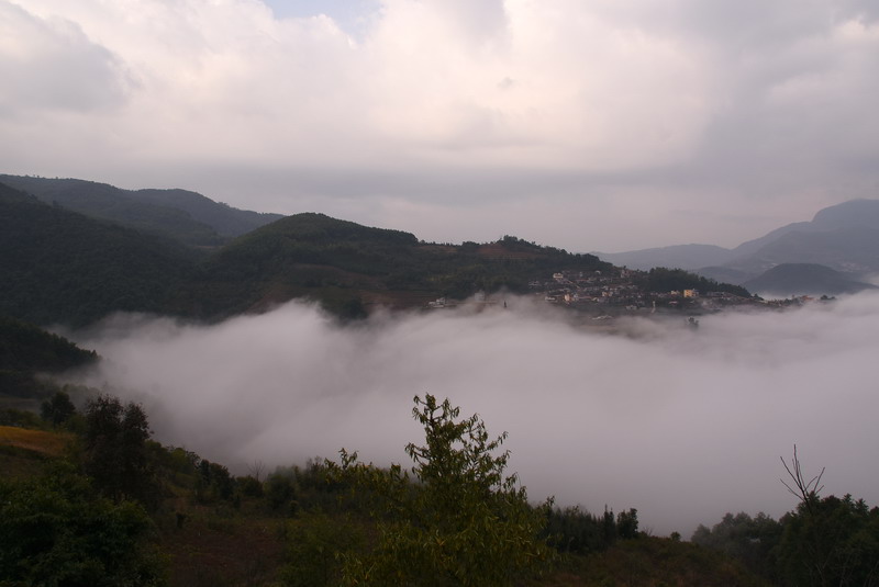 dsc_2957.jpg
