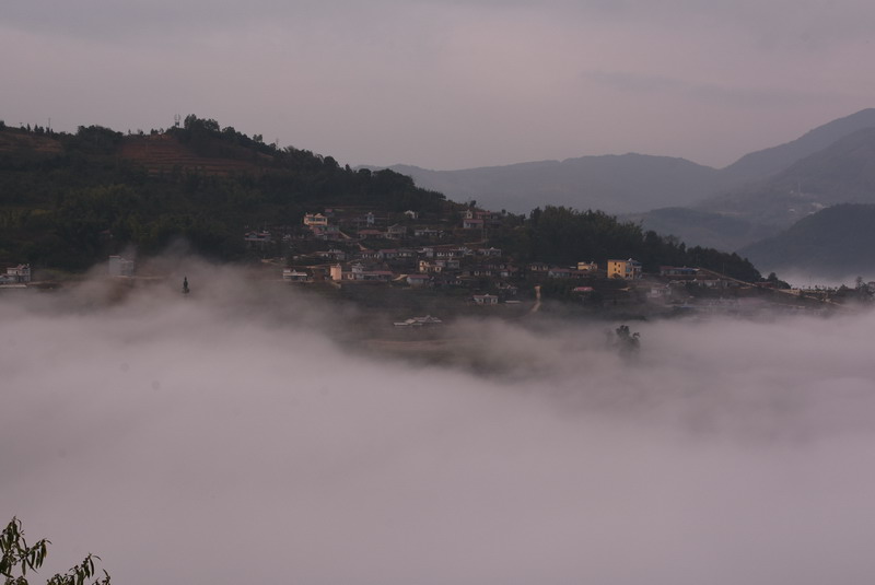 dsc_2958.jpg