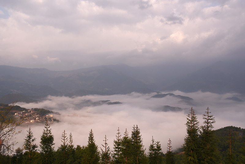 dsc_2968.jpg