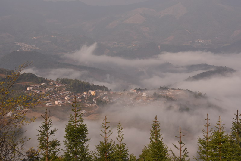dsc_3002.jpg