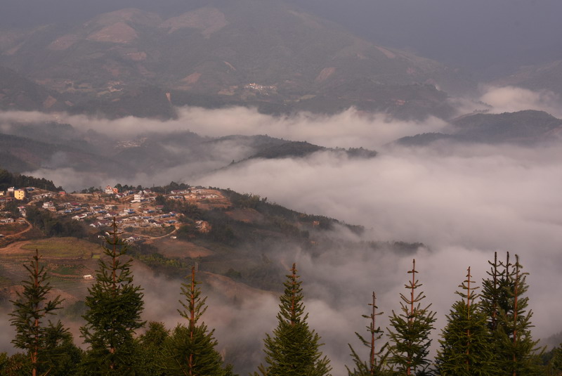 dsc_3010.jpg