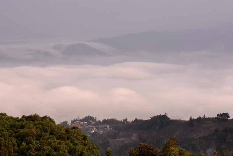 dsc_3031.jpg