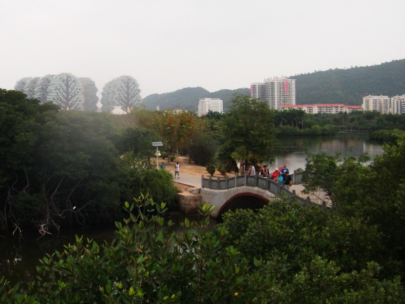 dscf0730.jpg