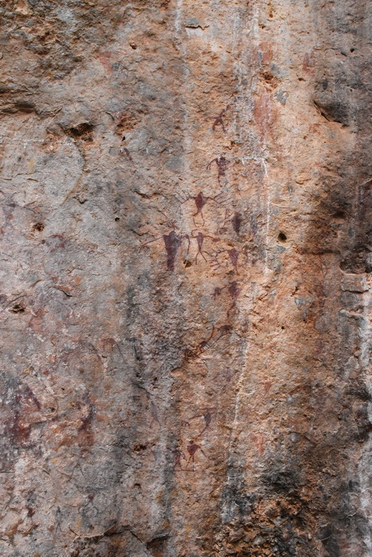 dsc_3095.jpg
