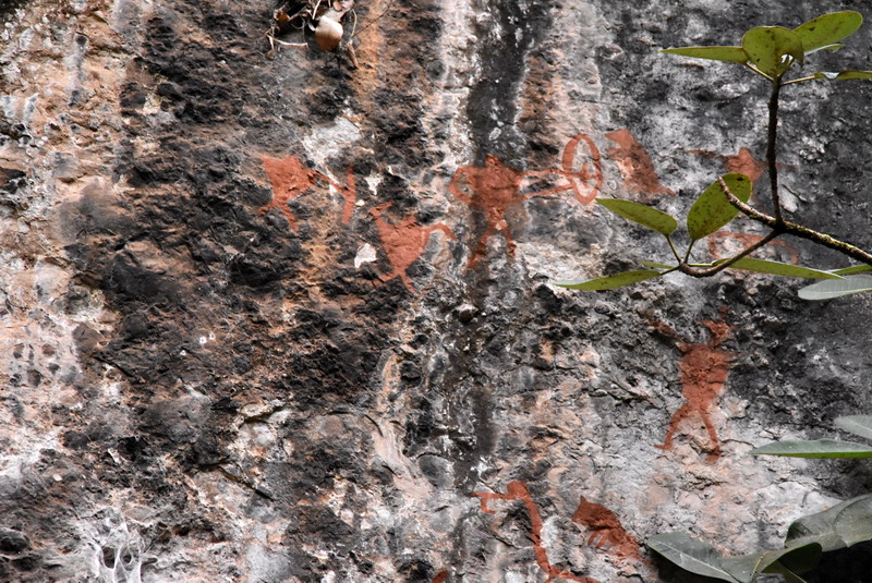 dsc_3105.jpg