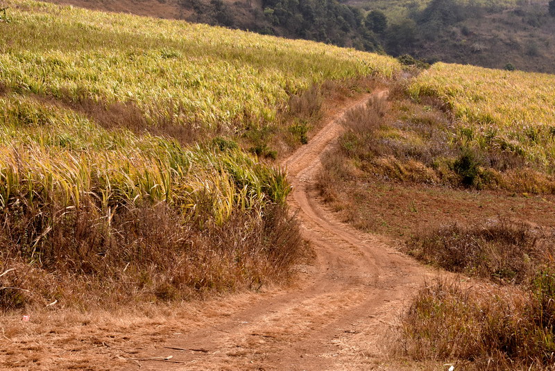 dsc_3120.jpg