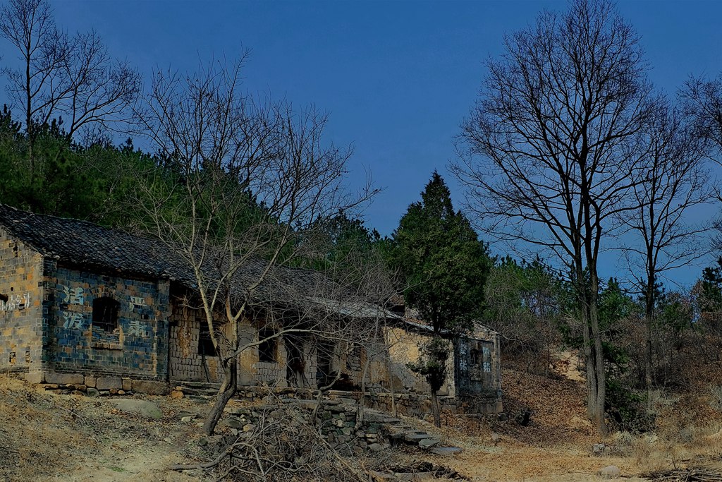 xwpw2766.jpg