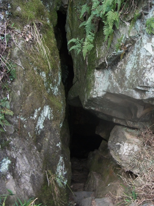 dscf0888.jpg