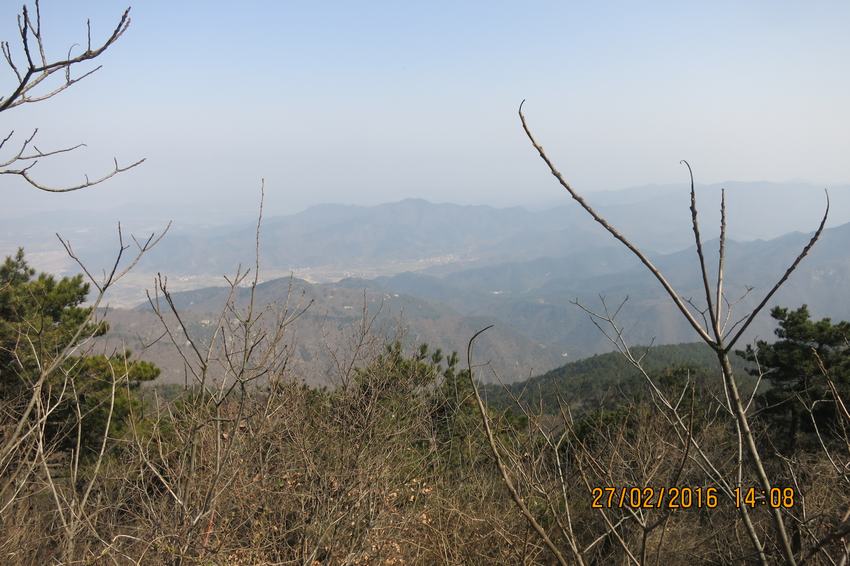 img_8706.jpg