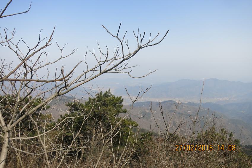 img_8707.jpg