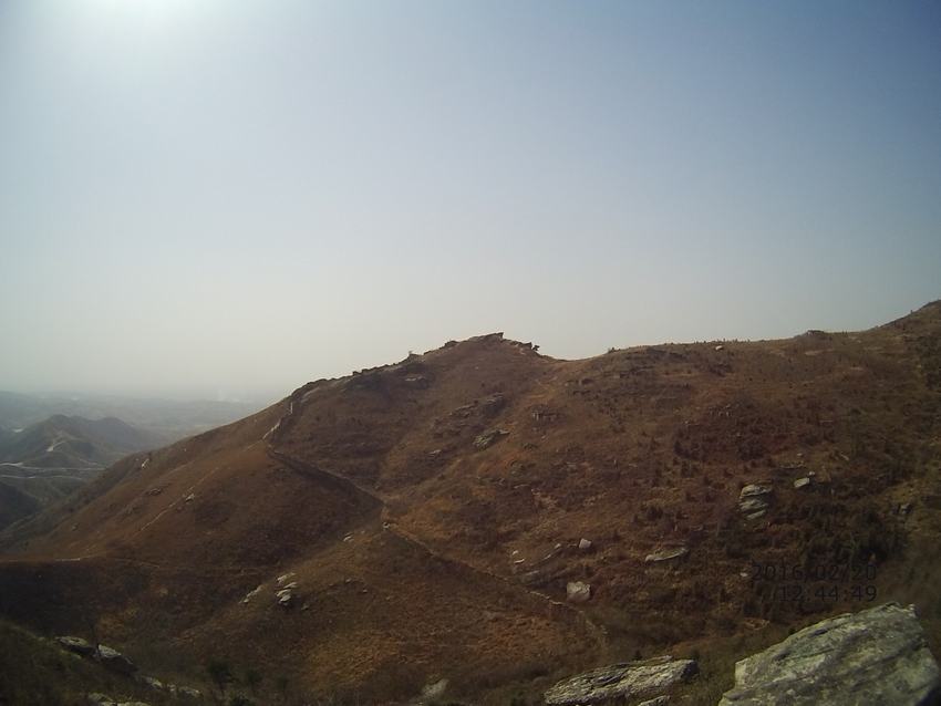 file0082.jpg