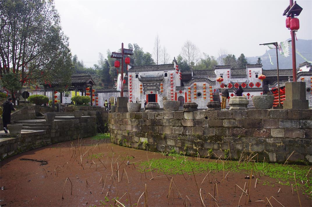 _igp0443.jpg