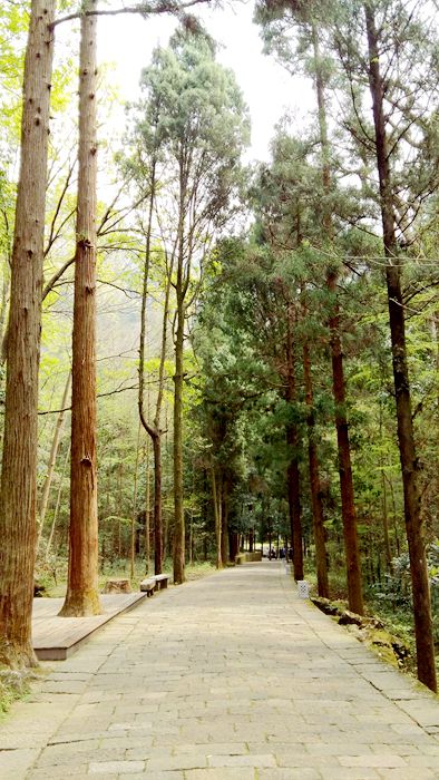 20160402_104330.jpg