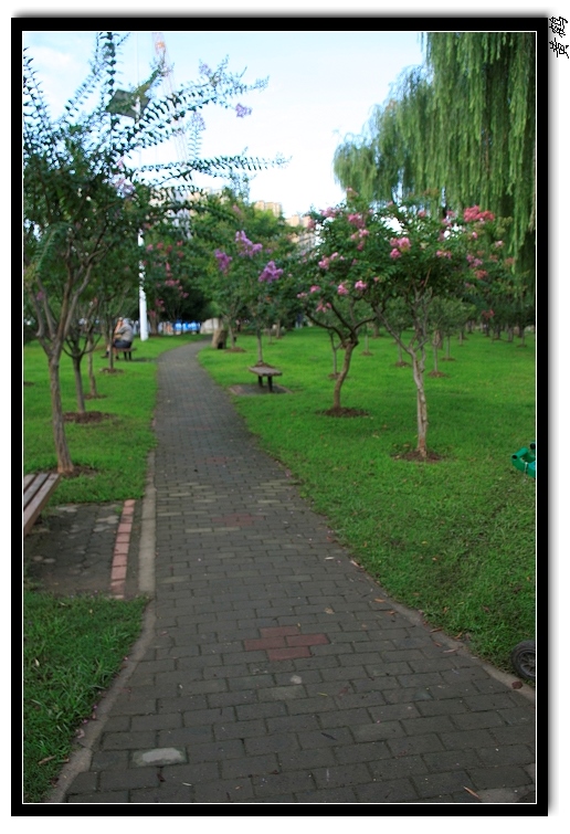 89.jpg
