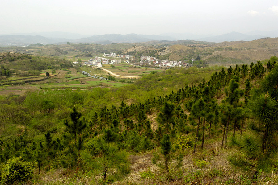 _sam0738_.jpg