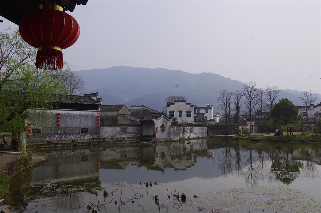 _igp0471.jpg