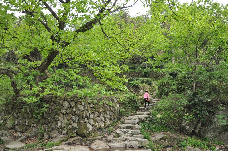 dsc_0200_副本.jpg