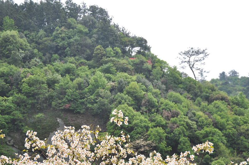 dsc_0103_副本.jpg