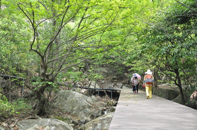 dsc_0073_副本.jpg