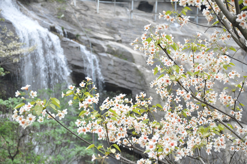 dsc_0164_副本.jpg