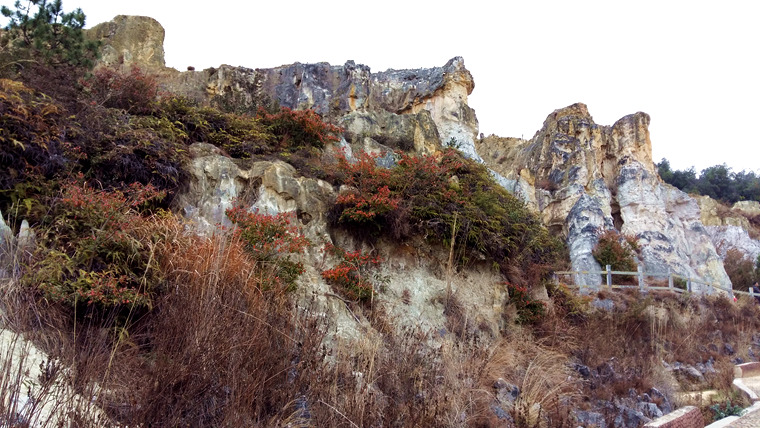 20160218_122312_.jpg