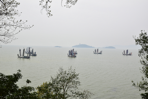 dsc_5628_1.jpg