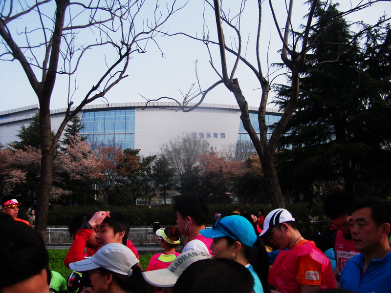 dscf1014.jpg